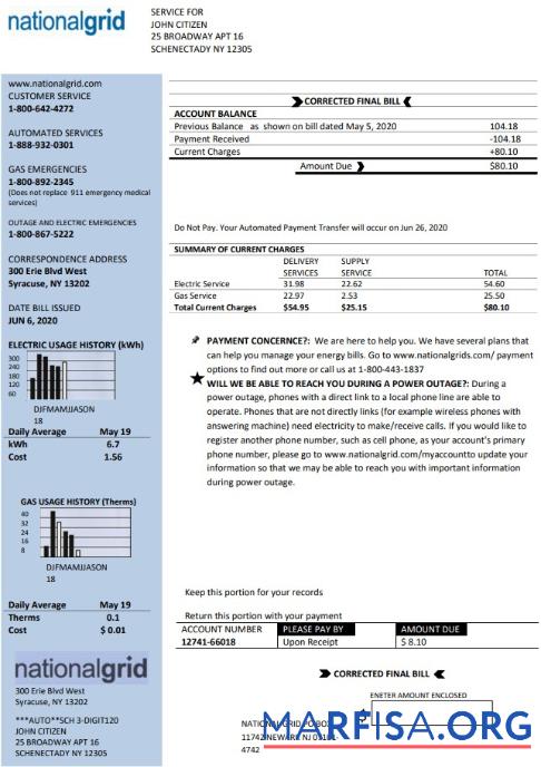 Blank USA New York National Grid utility bill template in Word and PDF format